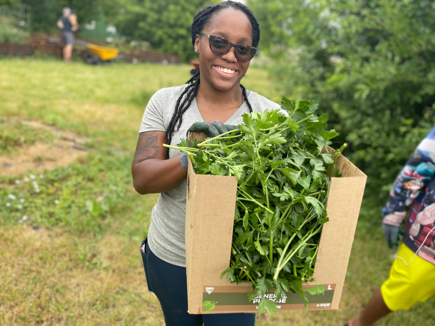 Volunteer carrying a crate of fresh cut greens harvested on site